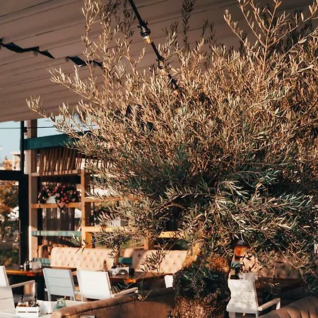 Курортный комплекс Apolonia 4*